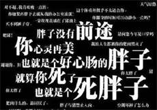 猫咪怎么看不了了
